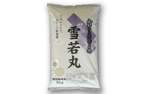 【金賞受賞農家】 特別栽培米 雪若丸 5kg 『あおきライスファーム』 山形南陽産 米 白米 精米 ご飯 農家直送 山形県 南陽市 [1547]