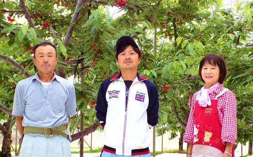 【令和8年産 新米 先行予約】 《定期便6回》 特別栽培米 つや姫 (精米) 5kg×6か月 《令和8年10月上旬～発送》 『田口農園』 山形南陽産 米 白米 ご飯 農家直送 山形県 南陽市 [1933-R8]