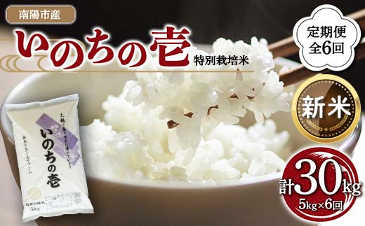 【令和8年産 新米 先行予約】 【金賞受賞農家】 《定期便6回》 特別栽培米 いのちの壱 5kg×6か月 《令和8年10月中旬～発送》 『あおきライスファーム』 山形南陽産 米 白米 精米 ご飯 農家直送 山形県 南陽市 [1617-R8]