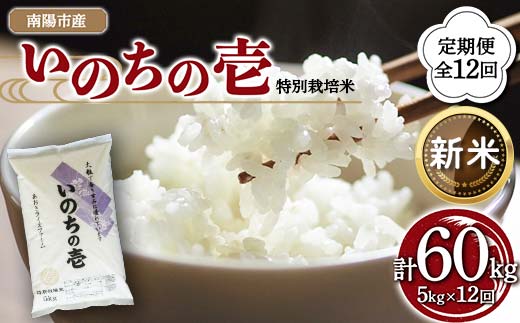 【令和8年産 新米 先行予約】 【金賞受賞農家】 《定期便12回》 特別栽培米 いのちの壱 5kg×12か月 《令和8年10月中旬～発送》 『あおきライスファーム』 山形南陽産 米 白米 精米 ご飯 農家直送 山形県 南陽市 [1618-R8]