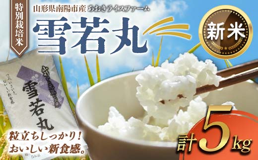 【令和8年産 新米 先行予約】 【金賞受賞農家】 特別栽培米 雪若丸 5kg 《令和8年9月下旬～発送》 『あおきライスファーム』 山形南陽産 米 白米 精米 ご飯 農家直送 山形県 南陽市 [1547-R8]