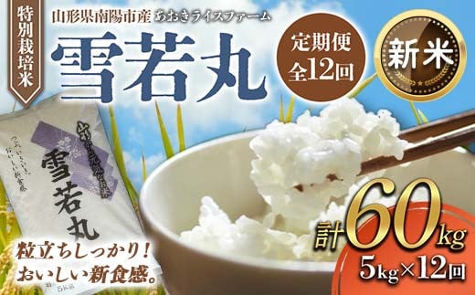 【令和8年産 新米 先行予約】 【金賞受賞農家】 《定期便12回》 特別栽培米 雪若丸 5kg×12か月 《令和8年9月下旬～発送》 『あおきライスファーム』 山形南陽産 米 白米 精米 ご飯 農家直送 山形県 南陽市 [1612-R8]