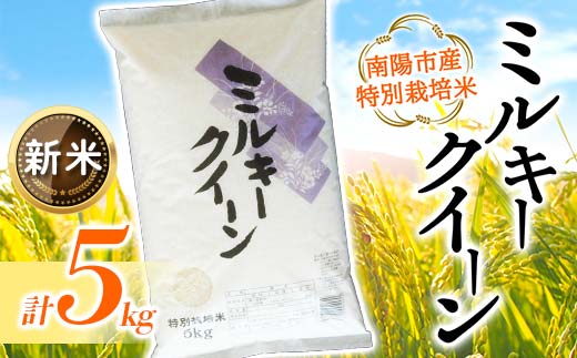 【令和6年産 新米 先行予約】 【金賞受賞農家】 特別栽培米 ミルキークイーン 5kg 《令和6年10月上旬～発送》 『あおきライスファーム』 山形南陽産 米 白米 精米 ご飯 農家直送 山形県 南陽市 [1549-R6]