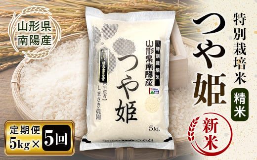 【令和6年産 新米 先行予約】 【米食味コンクール金賞受賞農園】 《定期便5回》 特別栽培米 つや姫 5kg×5か月 《令和6年10月中旬～発送》 『しまさき農園』 山形南陽産 米 白米 精米 ご飯 農家直送 山形県 南陽市 [1788-R6]