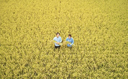 【令和6年産 新米 先行予約】 特別栽培米 雪若丸 5kg 《令和6年10月上旬～発送》 『平農園』 山形南陽産 米 白米 精米 ご飯 農家直送 山形県 南陽市 [1949-R6]