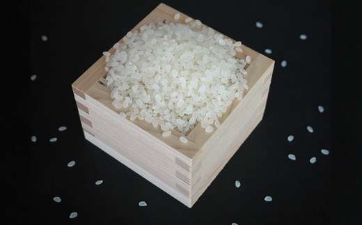 【令和6年産 新米 先行予約】 特別栽培米 雪若丸 計15kg (5kg×3袋) 《令和6年10月上旬～発送》 『平農園』 山形南陽産 米 白米 精米 ご飯 農家直送 山形県 南陽市 [2172-R6]