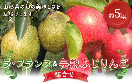 【令和6年産先行予約】 ラ・フランス & 完熟ふじりんご 詰合せ 約5kg (2L～3L) 《令和6年11月上旬～発送》 【全国りんご選手権 銀賞】 『船中農園』 山形県 南陽市 [2176]