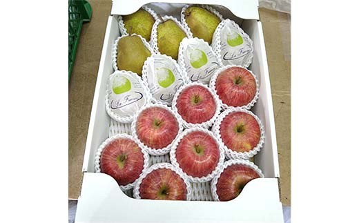 【令和8年産先行予約】 ラ・フランス & 完熟ふじりんご 詰合せ 約5kg (L～3L) 《令和8年11月中旬～発送》 【全国りんご選手権 銀賞】 『船中農園』 林檎 リンゴ 山形県 南陽市 [2176]