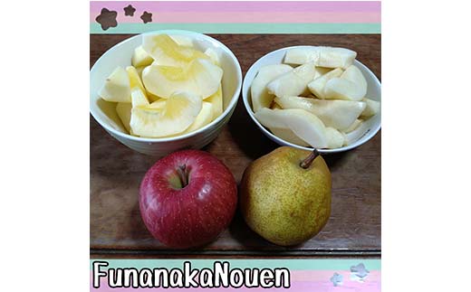 【令和6年産先行予約】 ラ・フランス & 完熟ふじりんご 詰合せ 約5kg (2L～3L) 《令和6年11月上旬～発送》 【全国りんご選手権 銀賞】 『船中農園』 山形県 南陽市 [2176]