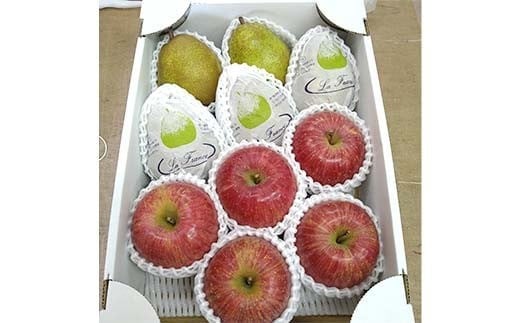 【令和8年産先行予約】 ラ・フランス & 完熟ふじりんご 詰合せ 約3kg (L～3L) 《令和8年11月中旬～発送》 【全国りんご選手権 銀賞】 『船中農園』 林檎 リンゴ 山形県 南陽市 [2177]