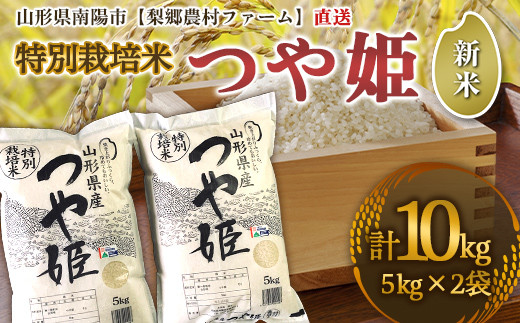 【令和6年産 新米 先行予約】 【農薬使用量8割減】 特別栽培米 つや姫 10kg (5kg×2袋) 《令和6年10月上旬～発送》 『梨郷農村ファーム』 山形南陽産 米 精米 ご飯 農家直送 山形県 南陽市 [834-RR6]