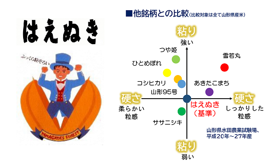 龍樹米 はえぬき 10kg (5kg×2袋) 『梨郷農村ファーム』 山形南陽産 米 精米 ご飯 農家直送 山形県 南陽市 [835]