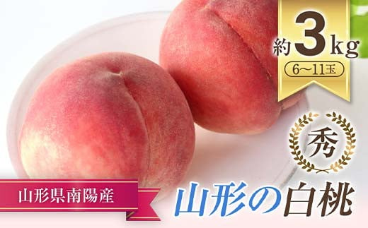 【令和7年産先行予約】 もも「美郷・あかつき・まどか 等」約3kg  (6～11玉) 《令和7年8月上旬～発送》 『生産者 高橋 賢一』 [1981]