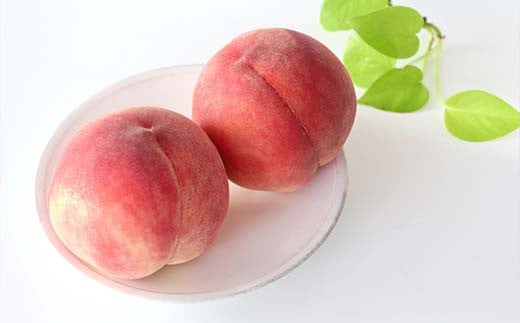 【令和8年産先行予約】 もも「美郷・あかつき・まどか 等」約3kg (6～11玉) 《令和8年8月上旬～発送》 『生産者 高橋 賢一』 桃 モモ 産地直送 生産農家直送 山形県 南陽市 [1981]