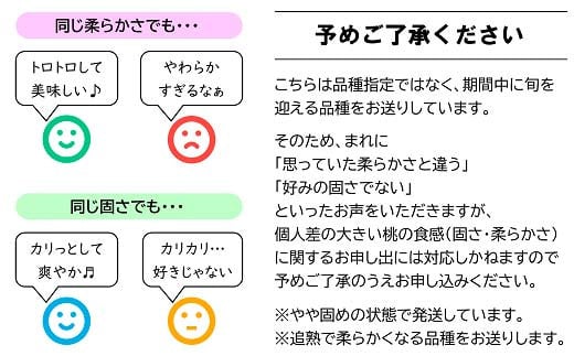 【令和7年産先行予約】 もも「美郷・あかつき・まどか 等」約3kg  (6～11玉) 《令和7年8月上旬～発送》 『生産者 高橋 賢一』 [1981]