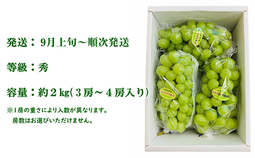 【令和7年産先行予約】 シャインマスカット 約2kg (3～4房 秀) 《令和7年9月上旬～発送》 『最上屋』 マスカット ぶどう 種なし 果物 フルーツ デザート 山形県 南陽市 [1102-R7]