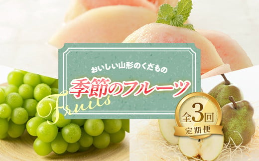 【令和7年産先行予約】《定期便3回》 おいしい山形のくだもの 季節のフルーツ定期便 『NOWAフルーツ』 もも 清水白桃 シャインマスカット ラフランス 山形南陽産 山形県 南陽市 [2063-R7]