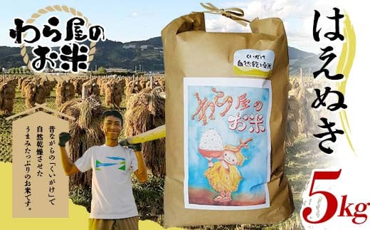 【わら屋のお米】 特別栽培米 はえぬき 5kg 『おがわ藁農園』 米 白米 精米 ご飯 農家直送 山形県 南陽市  [2067]