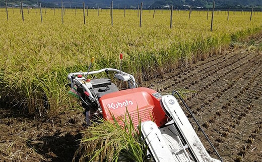 【わら屋のお米】 特別栽培米 はえぬき 5kg 『おがわ藁農園』 米 白米 精米 ご飯 農家直送 山形県 南陽市  [2067]