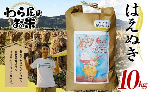 【わら屋のお米】 特別栽培米 はえぬき 10kg 『おがわ藁農園』 米 白米 精米 ご飯 農家直送 山形県 南陽市  [2068]