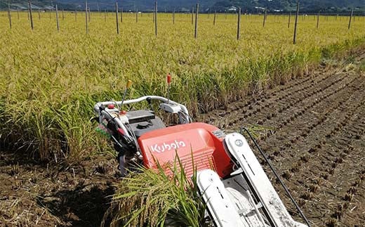 【わら屋のお米】 特別栽培米 はえぬき 10kg 『おがわ藁農園』 米 白米 精米 ご飯 農家直送 山形県 南陽市  [2068]