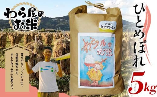 【わら屋のお米】 令和7年産 特別栽培米 ひとめぼれ 5kg 『おがわ藁農園』 米 白米 精米 ご飯 農家直送 山形県 南陽市 [2070]