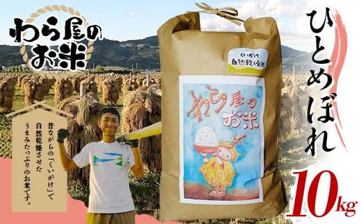 【わら屋のお米】 令和7年産 特別栽培米 ひとめぼれ 10kg 『おがわ藁農園』 米 白米 精米 ご飯 農家直送 山形県 南陽市 [2071]