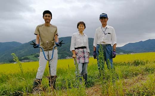 【わら屋のお米】 特別栽培米 ひとめぼれ 10kg 『おがわ藁農園』 米 白米 精米 ご飯 農家直送 山形県 南陽市  [2071]