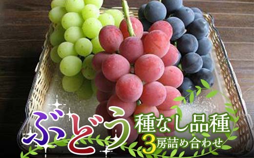 【令和7年産先行予約】 高級ぶどう 種なし品種 3房詰合せ 《令和7年9月中旬～発送》 『漆山果樹園』 葡萄 ぶどう ブドウ 種なし 新鮮 果物 フルーツ デザート 山形県 南陽市 [1520]