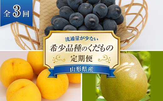 【令和7年産先行予約】 《定期便3回》 流通量が少ない"希少品種の" くだもの定期便 『南陽中央青果市場』 山形県 南陽市 [1407-R7]