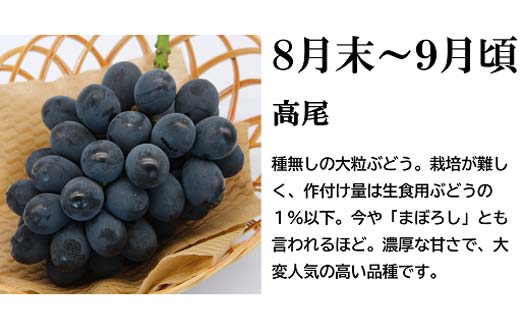 【令和7年産先行予約】 《定期便3回》 流通量が少ない