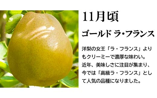 【令和7年産先行予約】 《定期便3回》 流通量が少ない