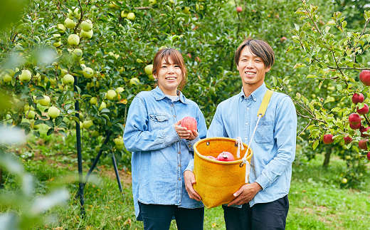 果汁100% 「無駄にしない思いから作られた りんごジュース」  (夏) 1000ml 6本  『平農園』 リンゴ ストレート ジュース 生産農家直送 ラベルレス 山形県 南陽市 [2239]