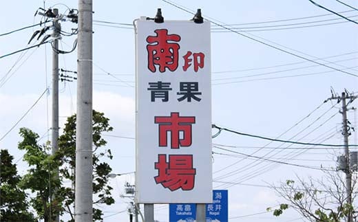 【令和7年産先行予約】 シャインマスカット 600g以上 (1房 秀) 《令和7年9月頃～発送》 『南陽中央青果市場』 マスカット ぶどう 種なし 果物 フルーツ デザート 山形県 南陽市 [1206]