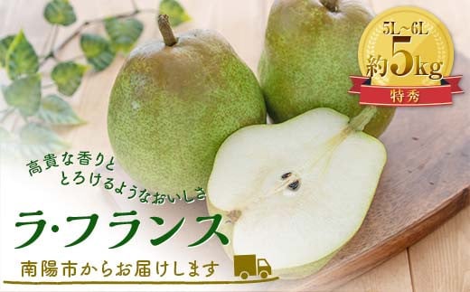 【令和6年産先行予約】ラ・フランス 約5kg (10～12玉 特秀 5～6L ) 《令和6年11月中旬～発送》 『田中農園』 ラフランス 洋なし 果物 フルーツ 山形県 南陽市 [1979]