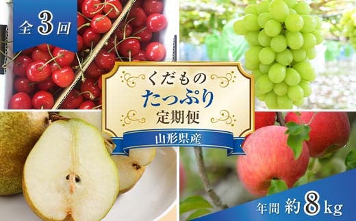 【令和7年産先行予約】 《定期便3回》 くだもの”たっぷり”定期便 『南陽中央青果市場』 山形県 南陽市 [1970-R7]