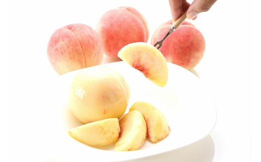 【令和8年産先行予約】 硬めの白桃 約5kg (8～22玉 秀) 《令和8年8月下旬～10月上旬発送》 『フードシステムズ』 モモ 果物 フルーツ 山形県 南陽市 [1387]