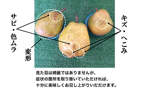 【令和6年産先行予約】 〈訳あり品 家庭用〉 ラ・フランス 約3kg (9～13玉) 《令和6年11月中旬～発送》 『カネタ高橋青果』 ラフランス 果物 フルーツ 山形県 南陽市 [2274]