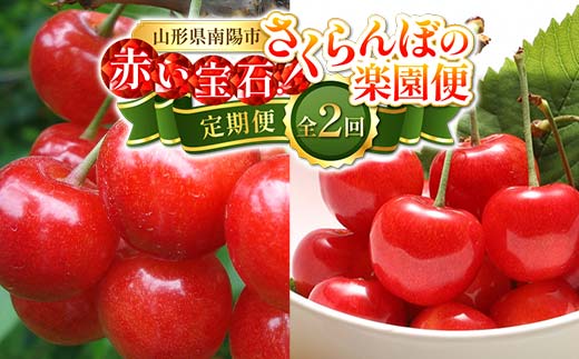 【令和8年産先行予約】 《定期便2回》 赤い宝石！さくらんぼの楽園便 「佐藤錦・紅秀峰」 各約800g (約200g×4パック 秀 L以上) 『フードシステムズ』 山形県 南陽市 [894]