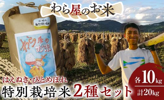 【わら屋のお米】 特別栽培米2種セット 「はえぬき・ひとめぼれ」 各10kg (計20kg) 『おがわ藁農園』 米 白米 精米 ご飯 農家直送 セット 食べ比べ 山形県 南陽市 [2169]
