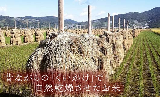 【わら屋のお米】 令和7年産 特別栽培米3種セット 「はえぬき・ひとめぼれ・つや姫」 各5kg (計15kg) 『おがわ藁農園』 米 白米 精米 ご飯 農家直送 セット 食べ比べ 山形県 南陽市 [2170]