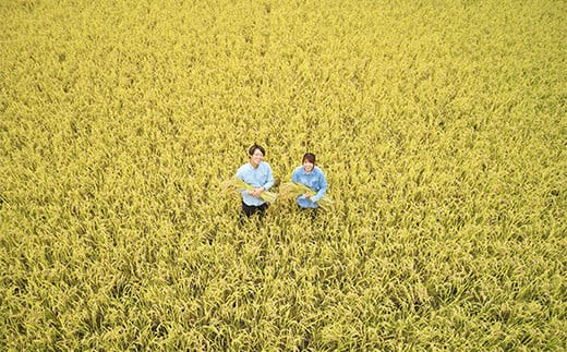 特別栽培米 ゆうだい21 計10kg (5kg×2袋) 『平農園』 山形南陽産 米 白米 精米 ご飯 農家直送 山形県 南陽市 [2037a]