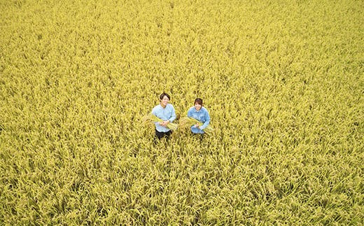 令和7年産 特別栽培米 つや姫 計10kg (5kg×2袋) 『平農園』 山形南陽産 米 白米 精米 ご飯 農家直送 山形県 南陽市 [2041]