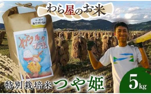 【わら屋のお米】 特別栽培米 つや姫 5kg 『おがわ藁農園』 米 白米 精米 ご飯 農家直送 山形県 南陽市  [2167]