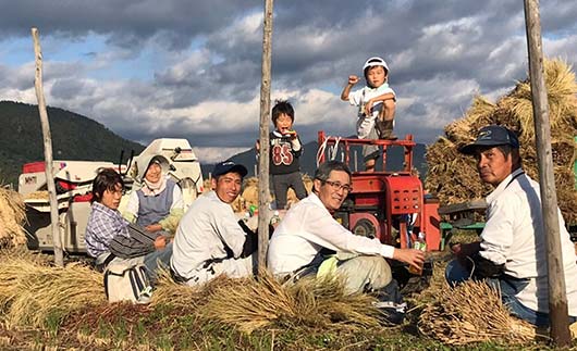 【わら屋のお米】 令和7年産 特別栽培米 つや姫 5kg 『おがわ藁農園』 米 白米 精米 ご飯 農家直送 山形県 南陽市 [2167]