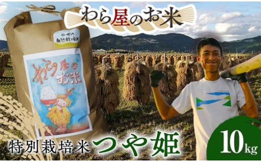 【わら屋のお米】 特別栽培米 つや姫 10kg 『おがわ藁農園』 米 白米 精米 ご飯 農家直送 山形県 南陽市  [2168]