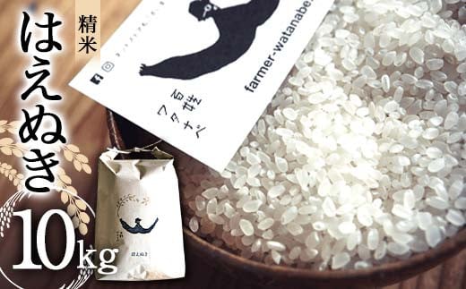 令和7年産 はえぬき (精米) 10kg 『最上園』 米 白米 ご飯 農家直送 山形県 南陽市 [1978]
