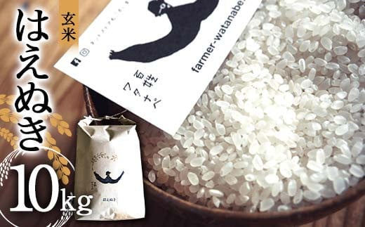 令和7年産 はえぬき (玄米) 10kg 『最上園』 米 ご飯 農家直送 山形県 南陽市 [2180]