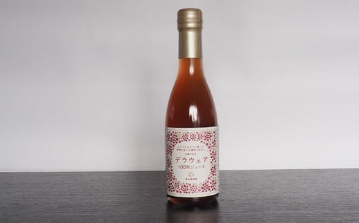 果樹園生まれの 無添加ギフトセット 『漆山果樹園』 山形県 南陽市 [664]