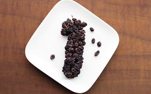 果樹園生まれの 無添加ギフトセット 『漆山果樹園』 山形県 南陽市 [664]